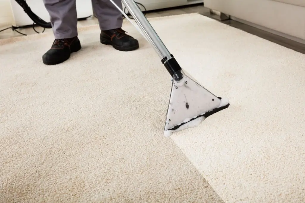 Same Day Carpet cleaning in South yarra