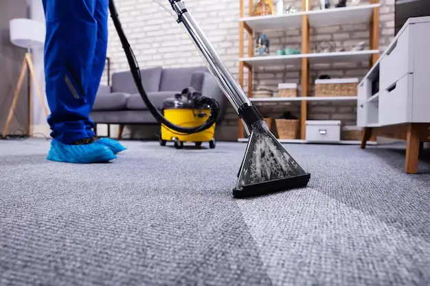 Same day Carpet Cleaning Buderim
